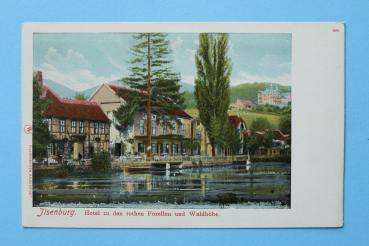 Ansichtskarte AK Ilsenburg 1905-1915 Hotel zu den rothen Forellen und Waldhöhe Biergarten Architektur Ortsansicht Sachsen Anhalt
